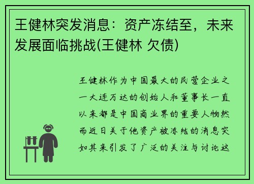 王健林突发消息:资产冻结至,未来发展面临挑战(王健林 欠债)