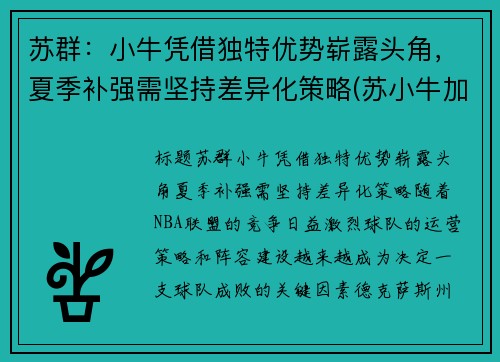 苏群：小牛凭借独特优势崭露头角，夏季补强需坚持差异化策略(苏小牛加盟)