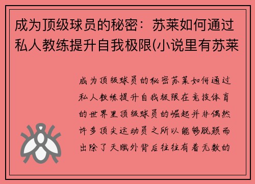 成为顶级球员的秘密：苏莱如何通过私人教练提升自我极限(小说里有苏莱)