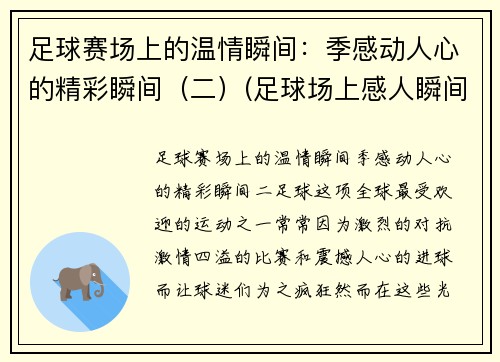 足球赛场上的温情瞬间:季感动人心的精彩瞬间(二)(足球场上感人瞬间视频)