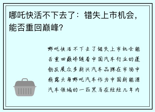 哪吒快活不下去了：错失上市机会，能否重回巅峰？