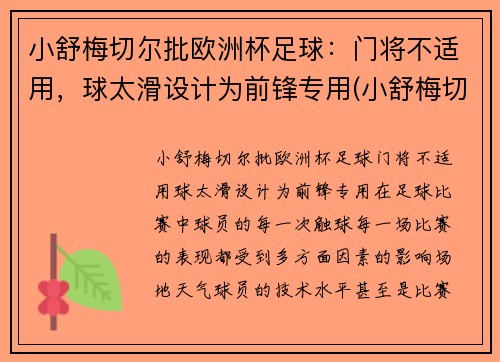 小舒梅切尔批欧洲杯足球:门将不适用,球太滑设计为前锋专用(小舒梅切尔厉害吗)