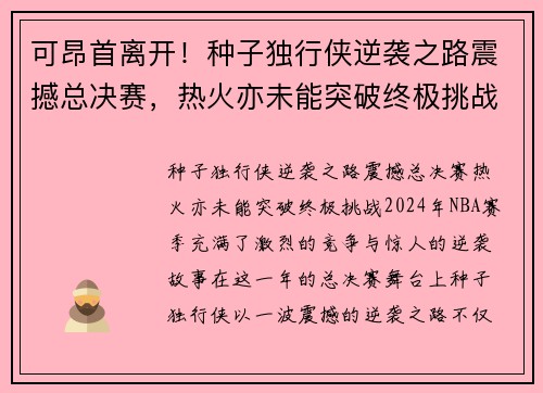 可昂首离开！种子独行侠逆袭之路震撼总决赛，热火亦未能突破终极挑战