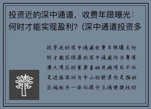 投资近的深中通道，收费年限曝光：何时才能实现盈利？(深中通道投资多少)